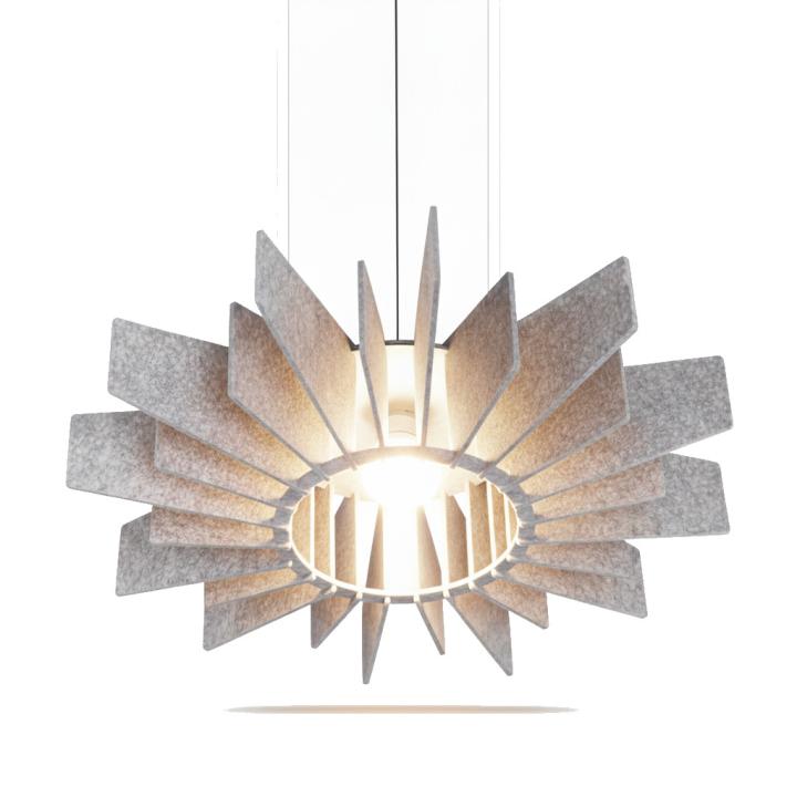 PETLight-Fin