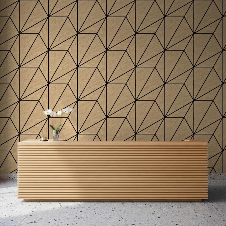 Combo Hex-Split Triangles